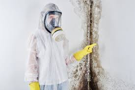 Mold Documentation for Insurance Claims in New Hope, PA